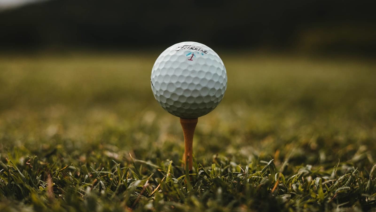closeup photo of white golf ball