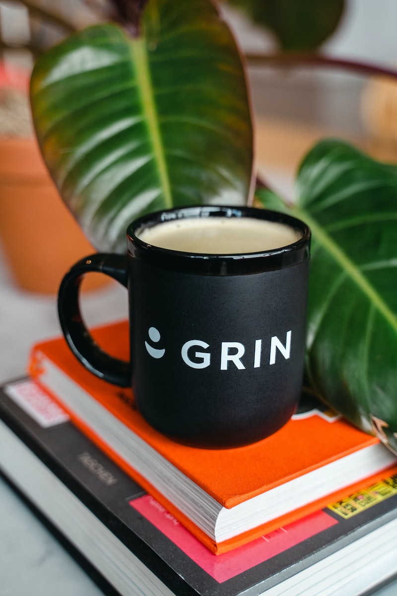 What You Need To Know About The Grin Meaning And History » Ranking Articles