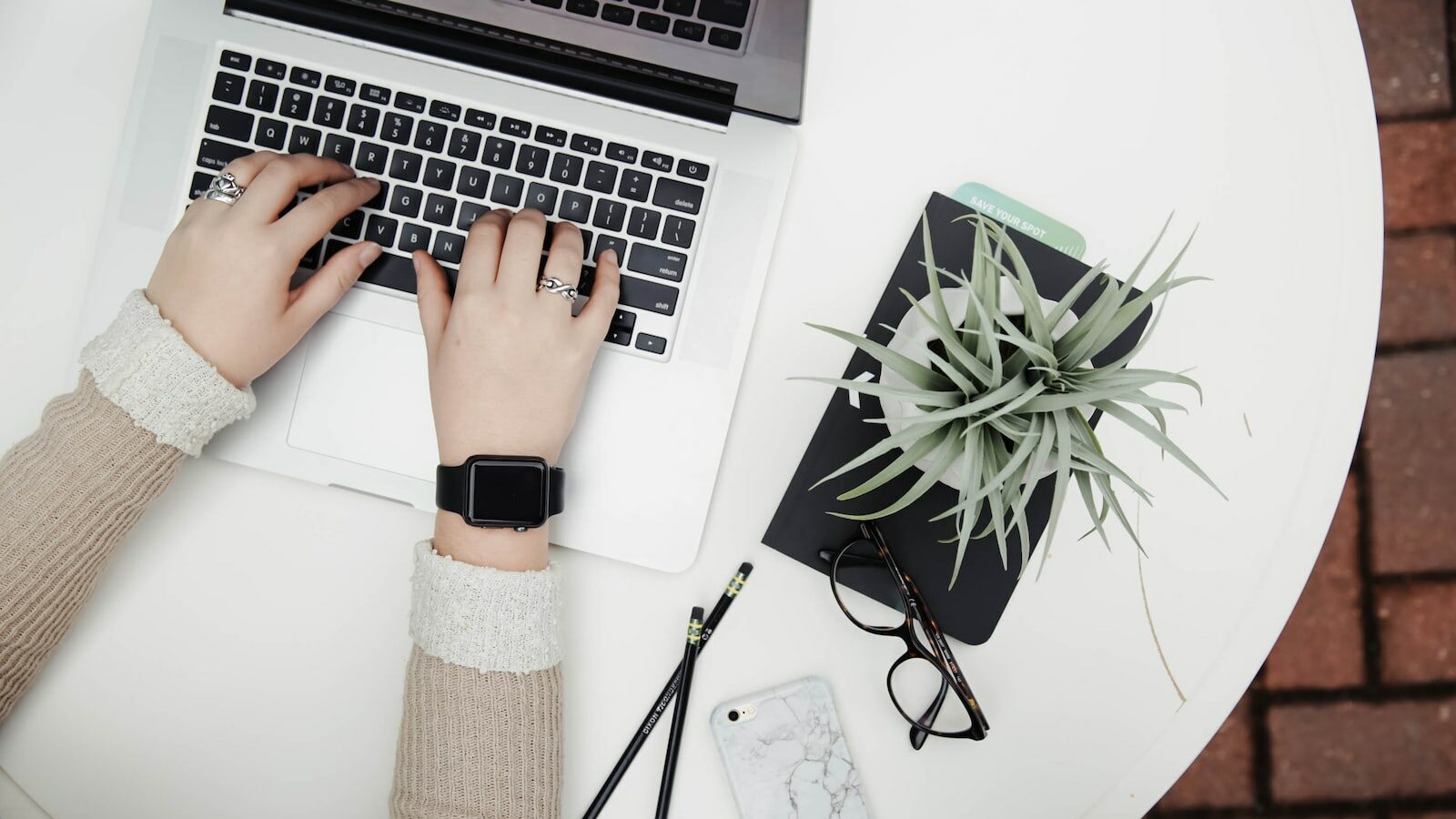 person using laptop computer beside aloe vera