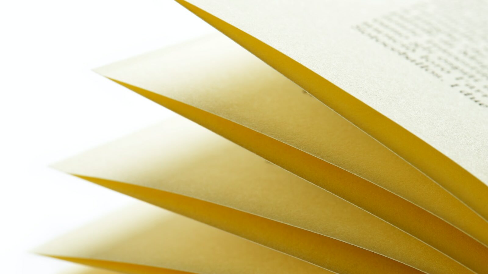 closeup photo of book pages