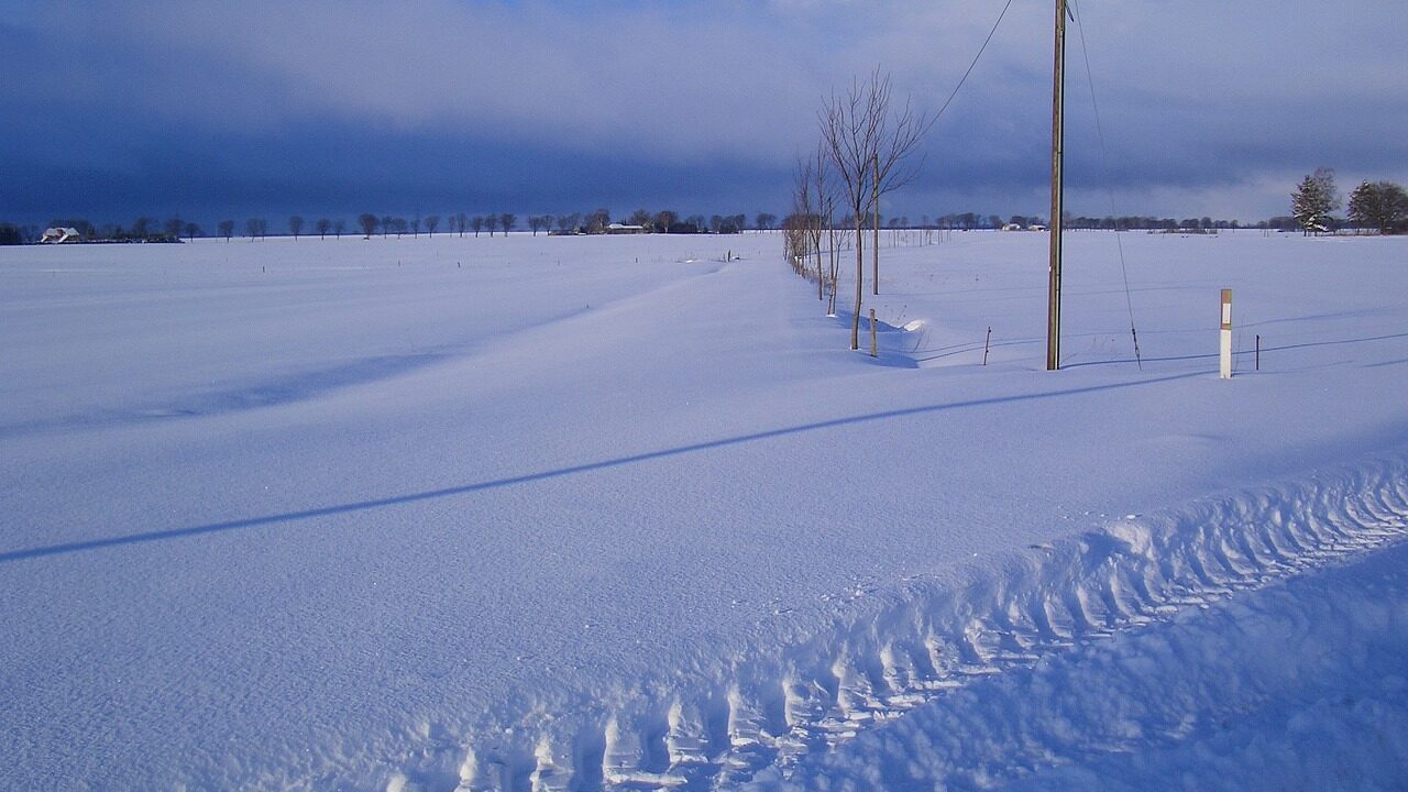winter, path, winter landscape